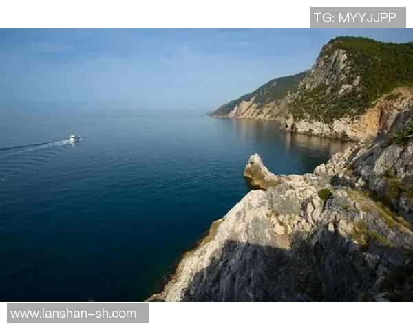 印度足球明星盘点：谁是绿茵场上的璀璨明珠