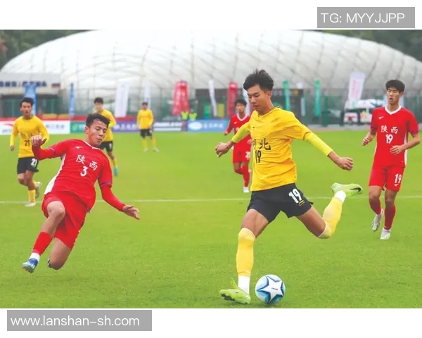 足球明星的成长之路揭秘从青训到职业赛场的艰辛历程